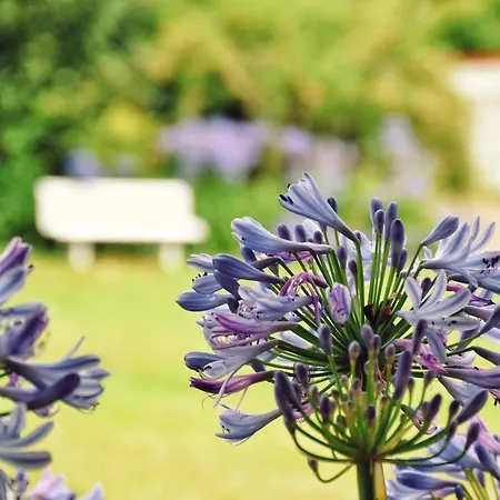 Pazo Revel & ポンテベドラ