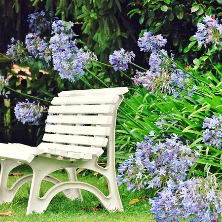 ホテル Pazo Revel & ポンテベドラ