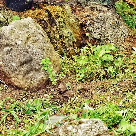 Pazo Revel & 2* ポンテベドラ