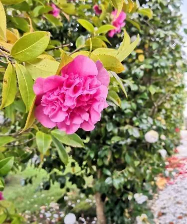 Hotel Pazo Revel & 2*