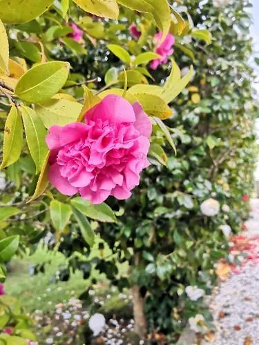 Hotel Pazo Revel & 2*